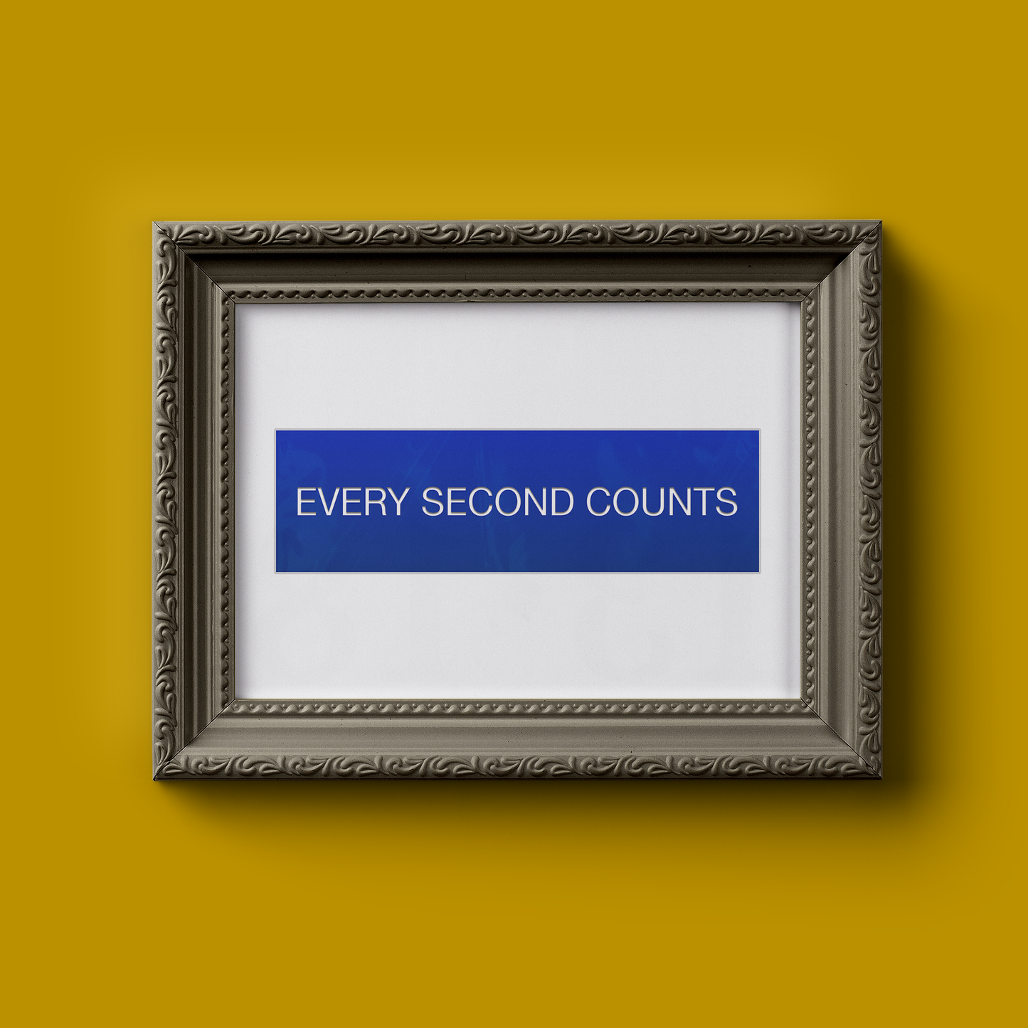 EVERY SECOND COUNTS